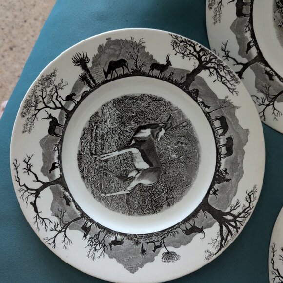 Wedgwood Kruger National Park complete set of 6 World Wildlife Fund $75 each - Picture 6 of 9